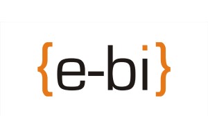 e-BI sp. z o.o.